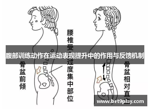 腹部训练动作在运动表现提升中的作用与反馈机制